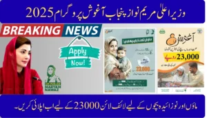 CM Punjab Aghosh Program 2025 – A Lifeline for Mothers and Newborns