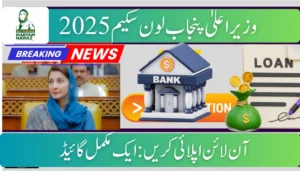CM Punjab Loan Scheme 2025 Online Apply: A Complete Guide