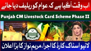 Punjab CM Livestock Card Scheme 2025 – Benefits, Eligibility & Online Registration