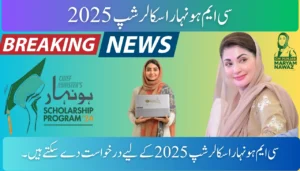 CM Honhaar Scholarship 2025: Merit List & Online Application Guide