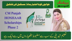 CM Punjab HONHAAR Scholarships Phase 2 – 2025: Empowering Dreams, Shaping Futures