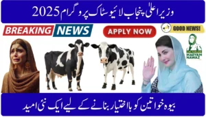 CM Punjab Livestock Program 2025 – A New Hope for Widowed Women’s Empowerment