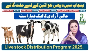 Free Cows and Buffaloes for Rural Women in Punjab 2025 – A New Path to Financial Independence